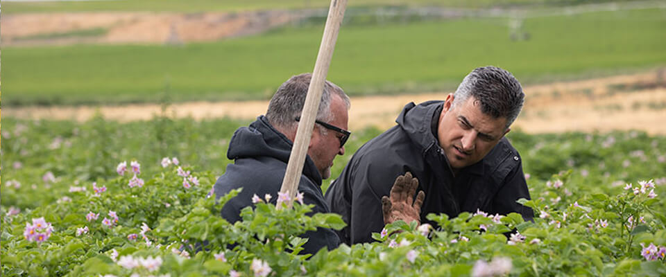 Washington State Potato Commission